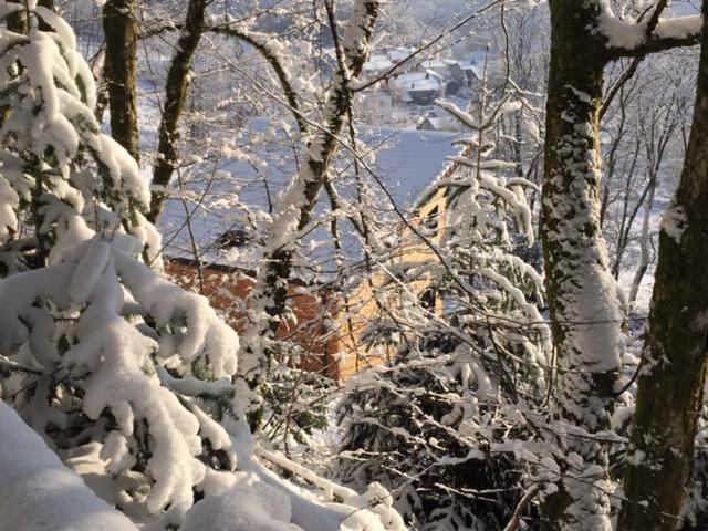 Villa Cora Venez Neuve Avec Spa Saint-Bresson Luaran gambar