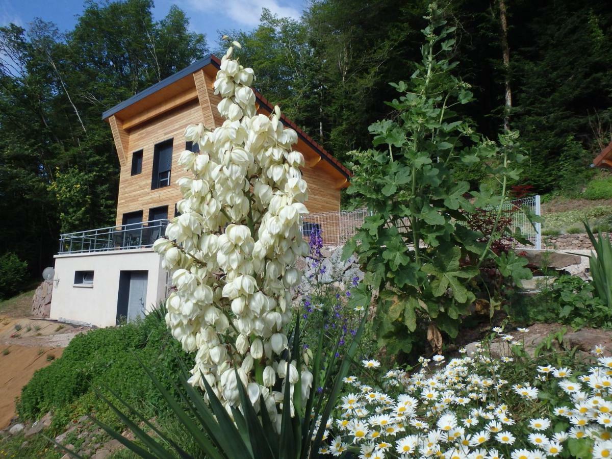 Villa Cora Venez Neuve Avec Spa Saint-Bresson Luaran gambar