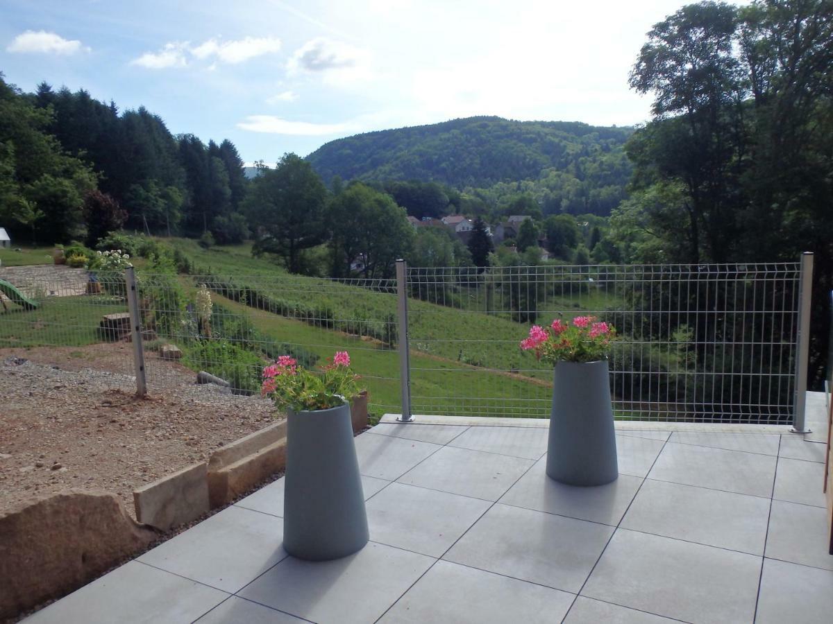 Villa Cora Venez Neuve Avec Spa Saint-Bresson Luaran gambar