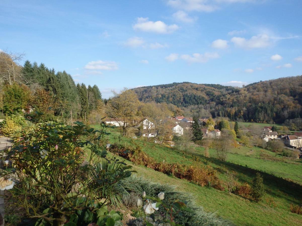Villa Cora Venez Neuve Avec Spa Saint-Bresson Luaran gambar