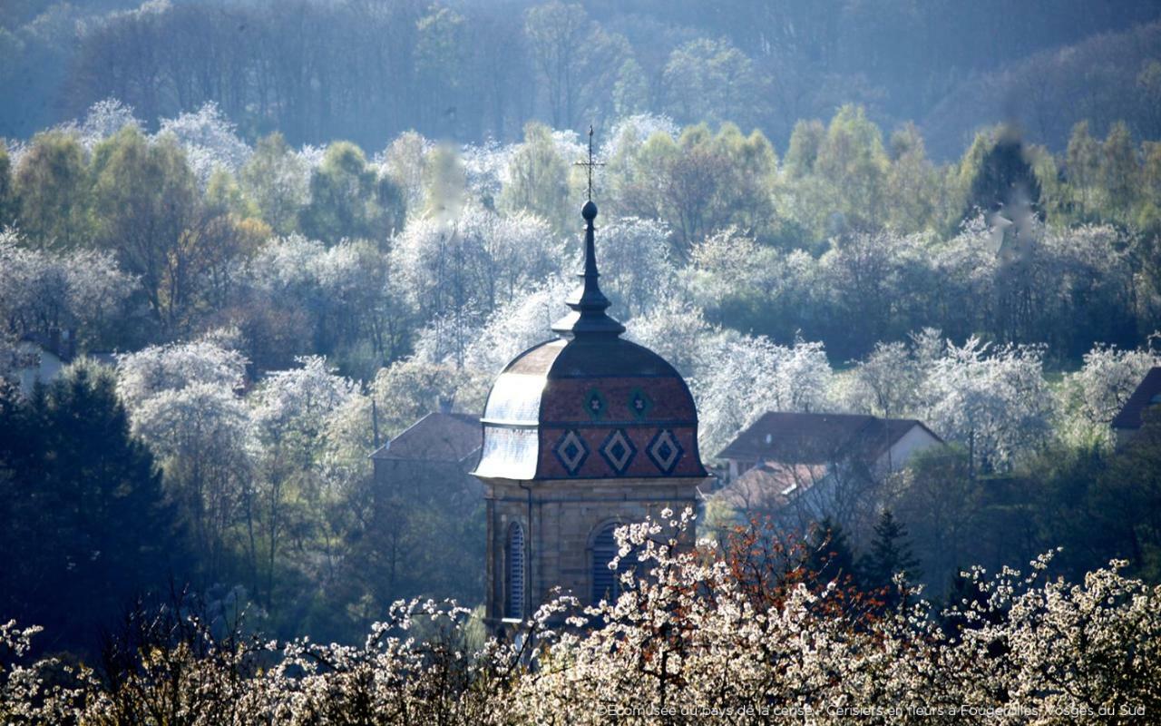 Villa Cora Venez Neuve Avec Spa Saint-Bresson Luaran gambar